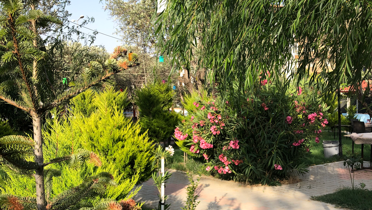 Slide Background Image