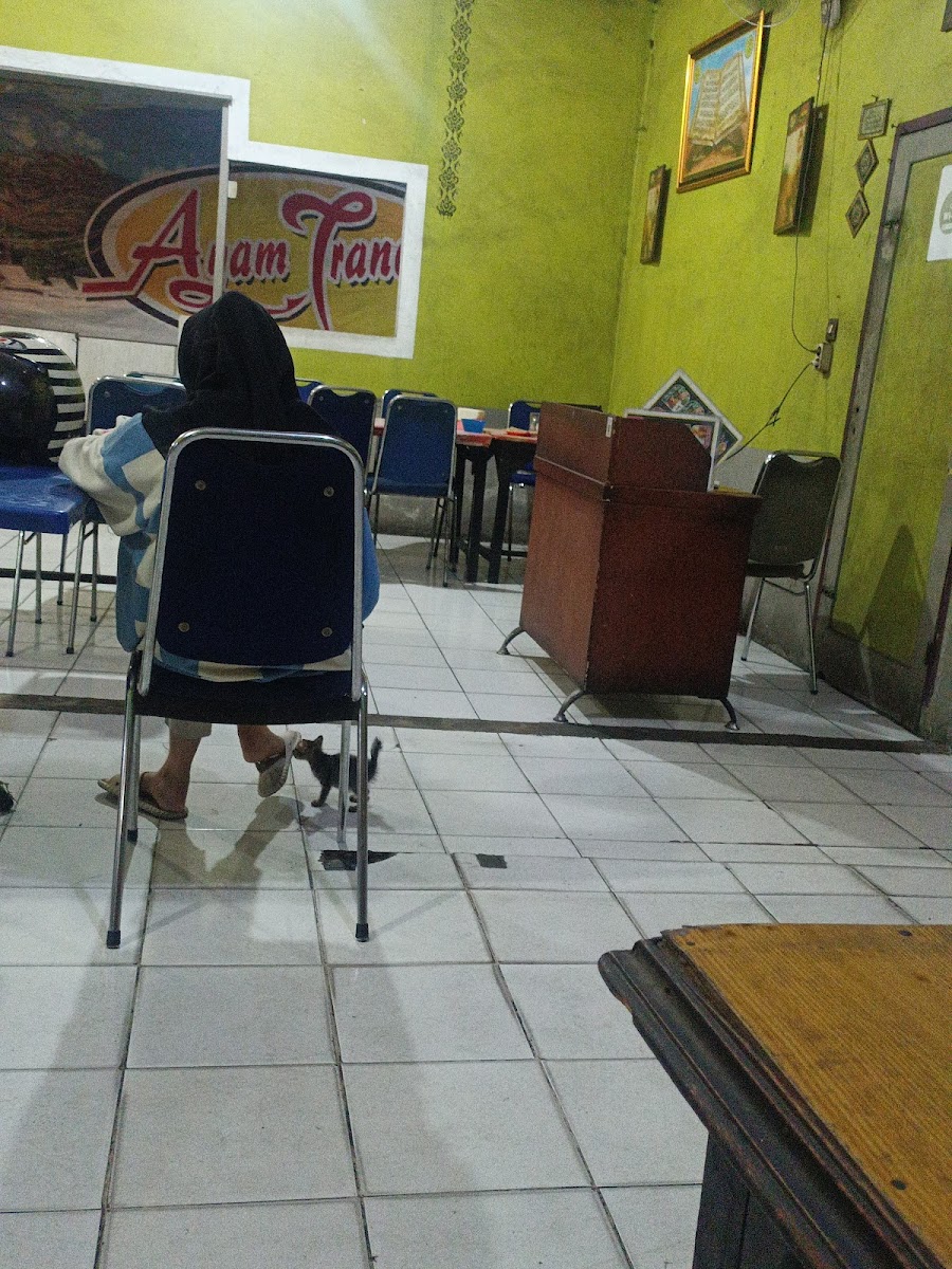 Slide Background Image