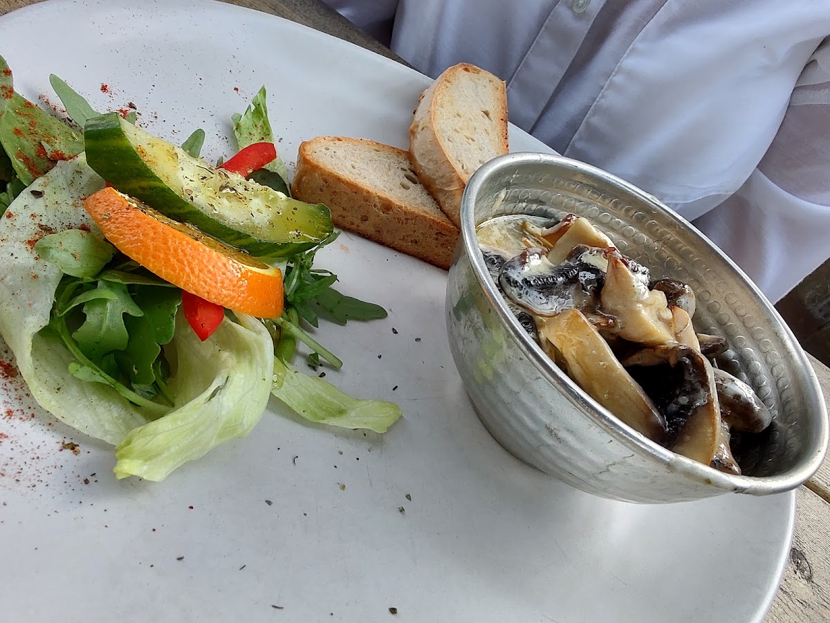 Slide Background Image