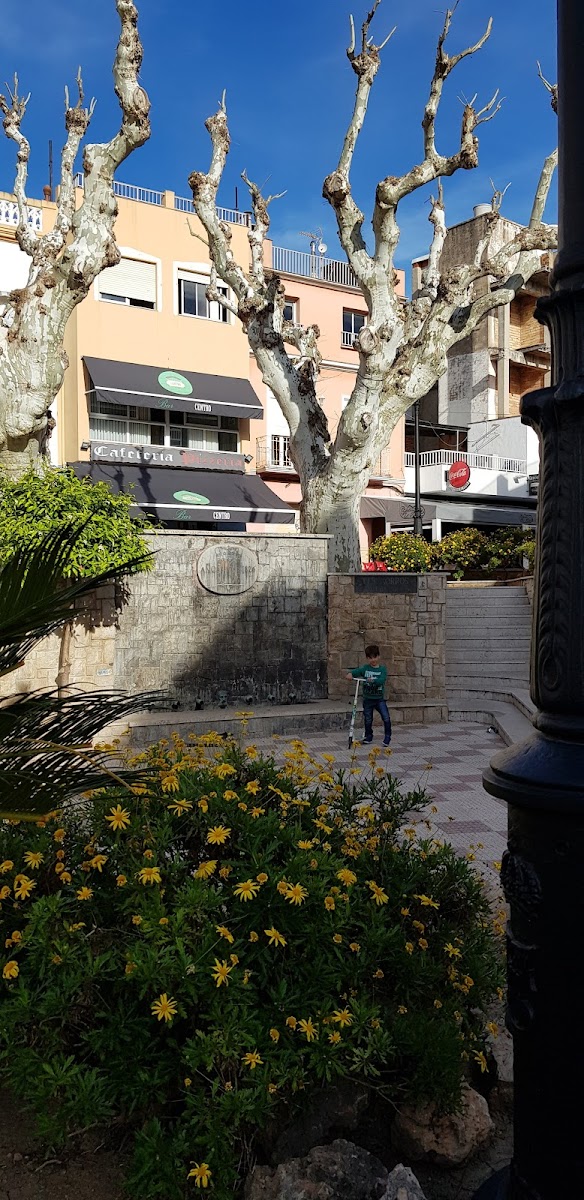 Slide Background Image