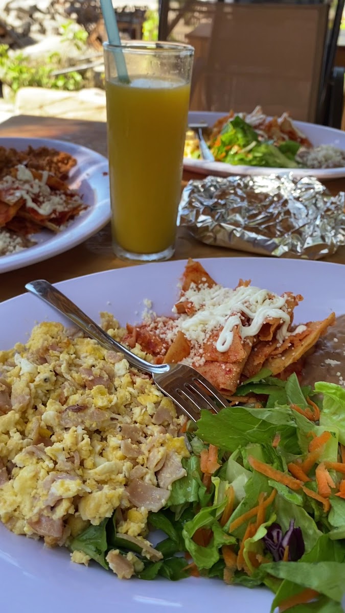 Slide Background Image