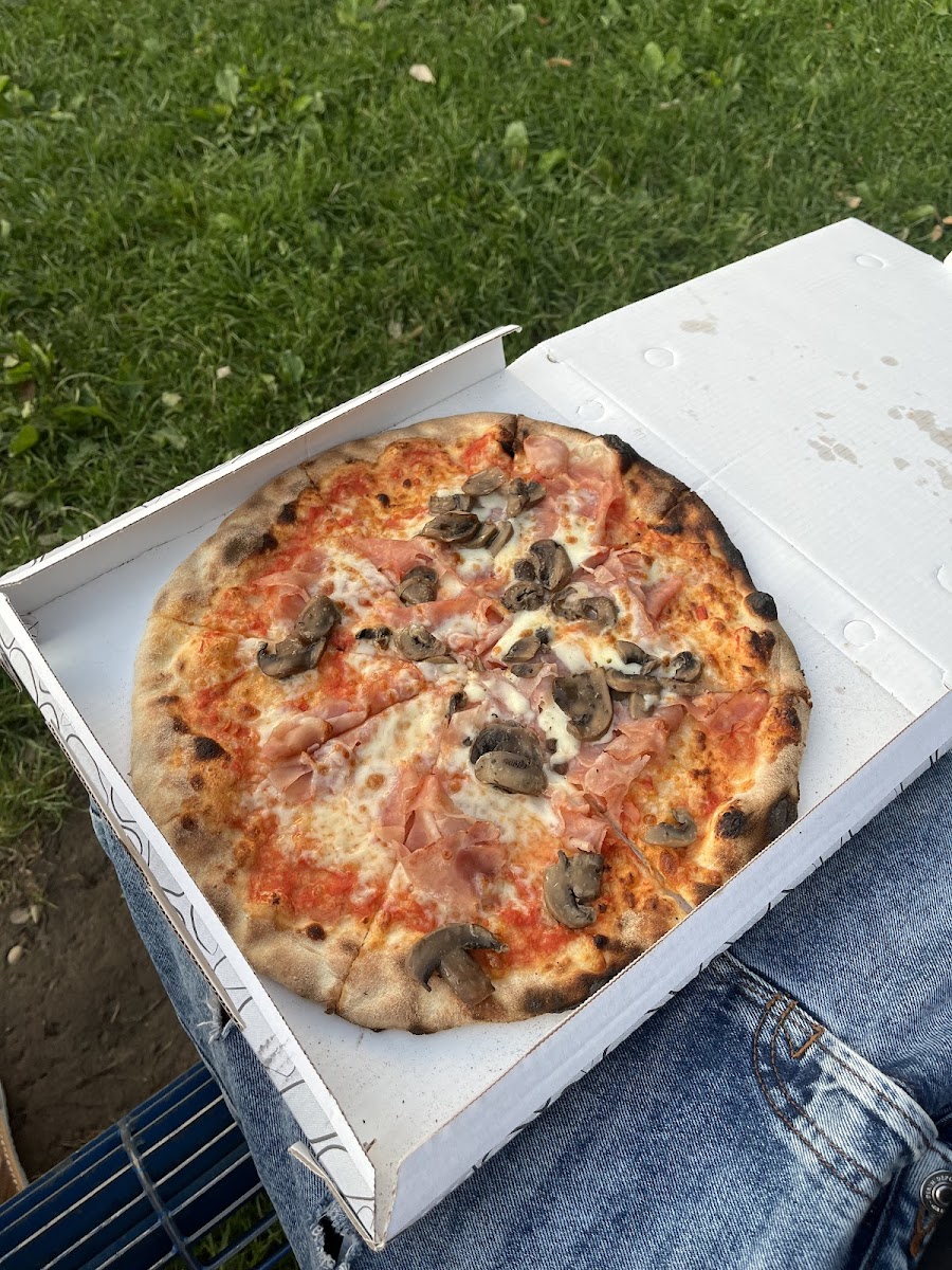 Slide Background Image