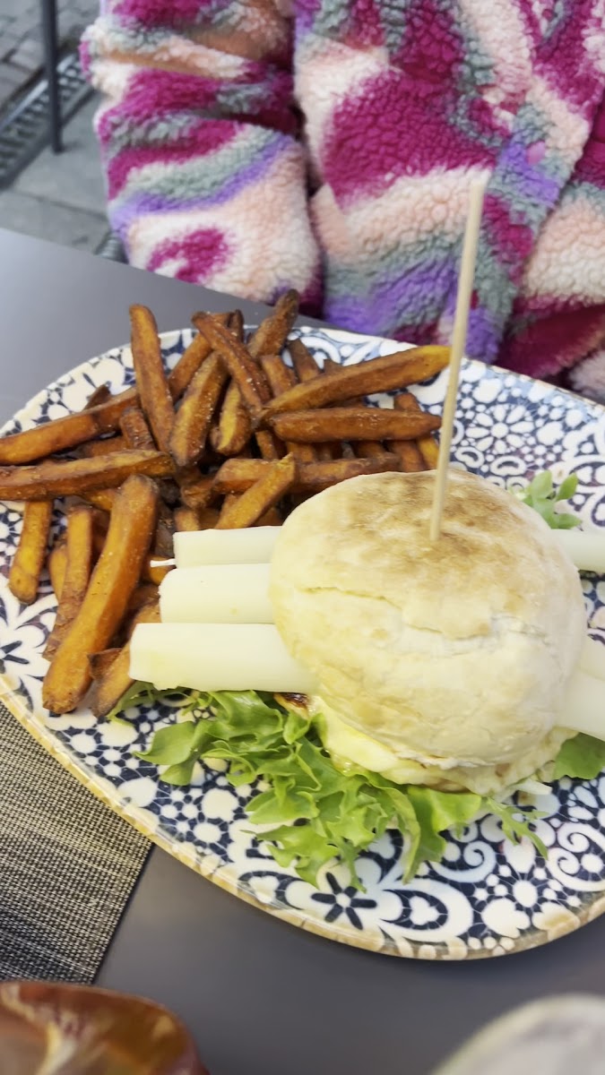 Slide Background Image