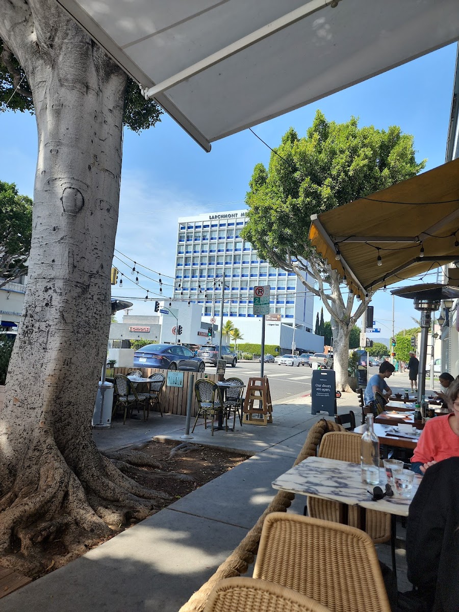 Slide Background Image