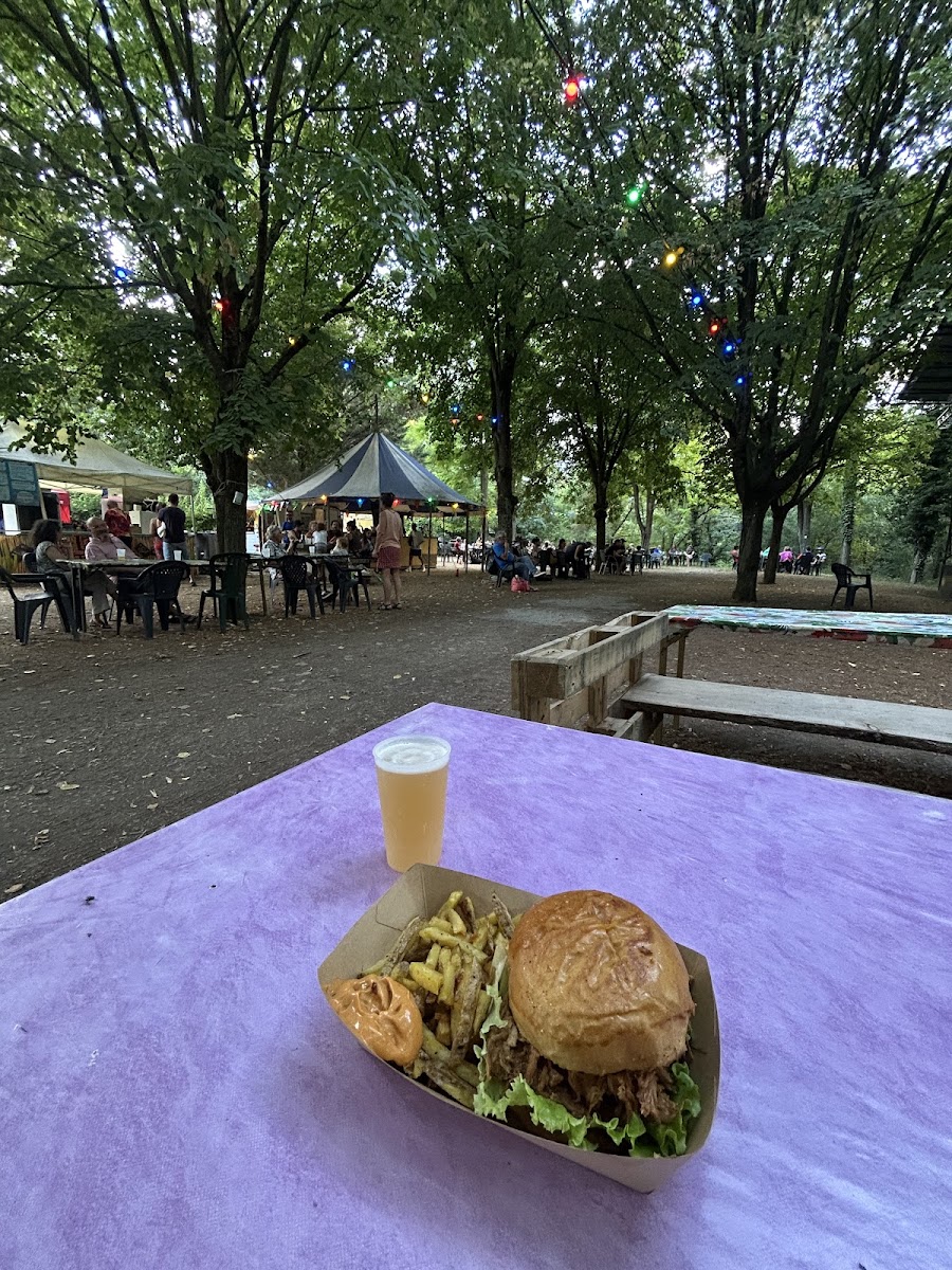 Slide Background Image