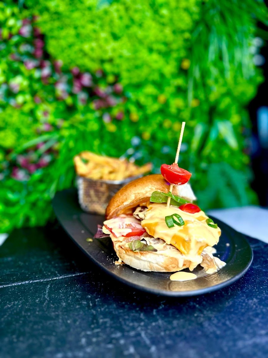 Slide Background Image