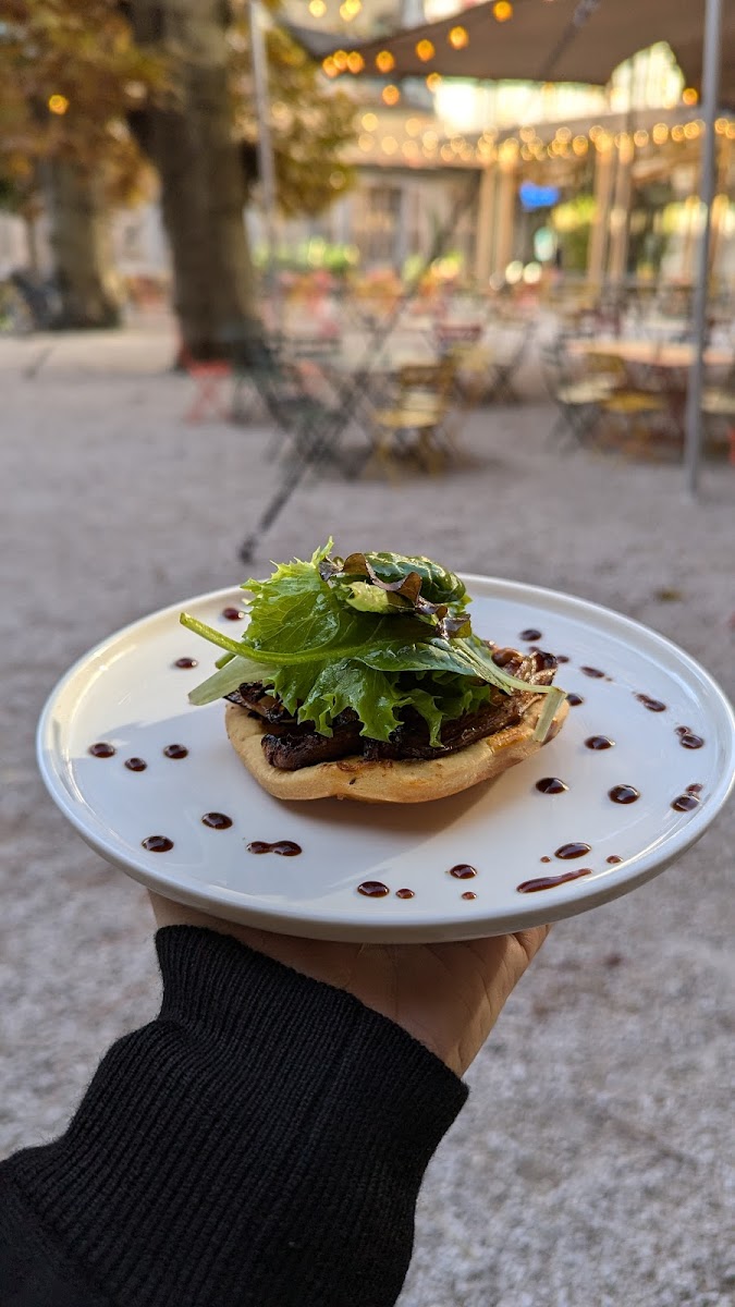 Slide Background Image