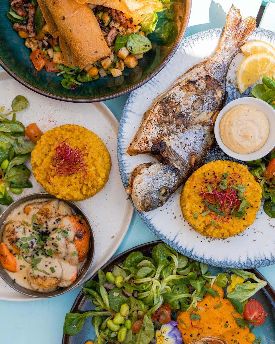 Slide Background Image