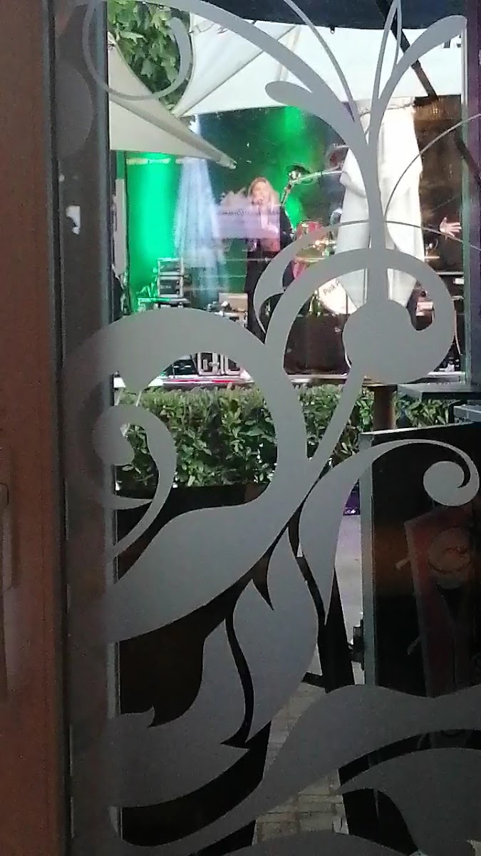 Slide Background Image