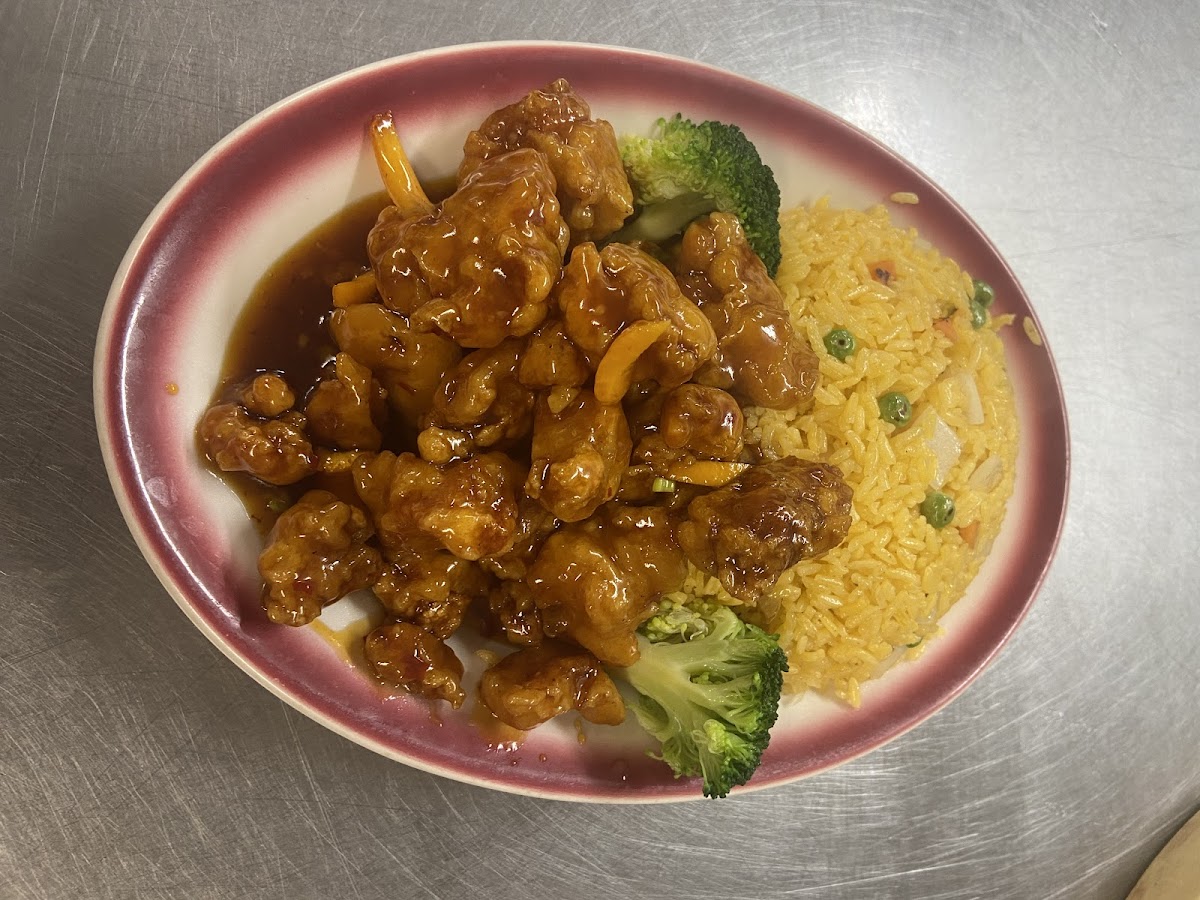 Slide Background Image