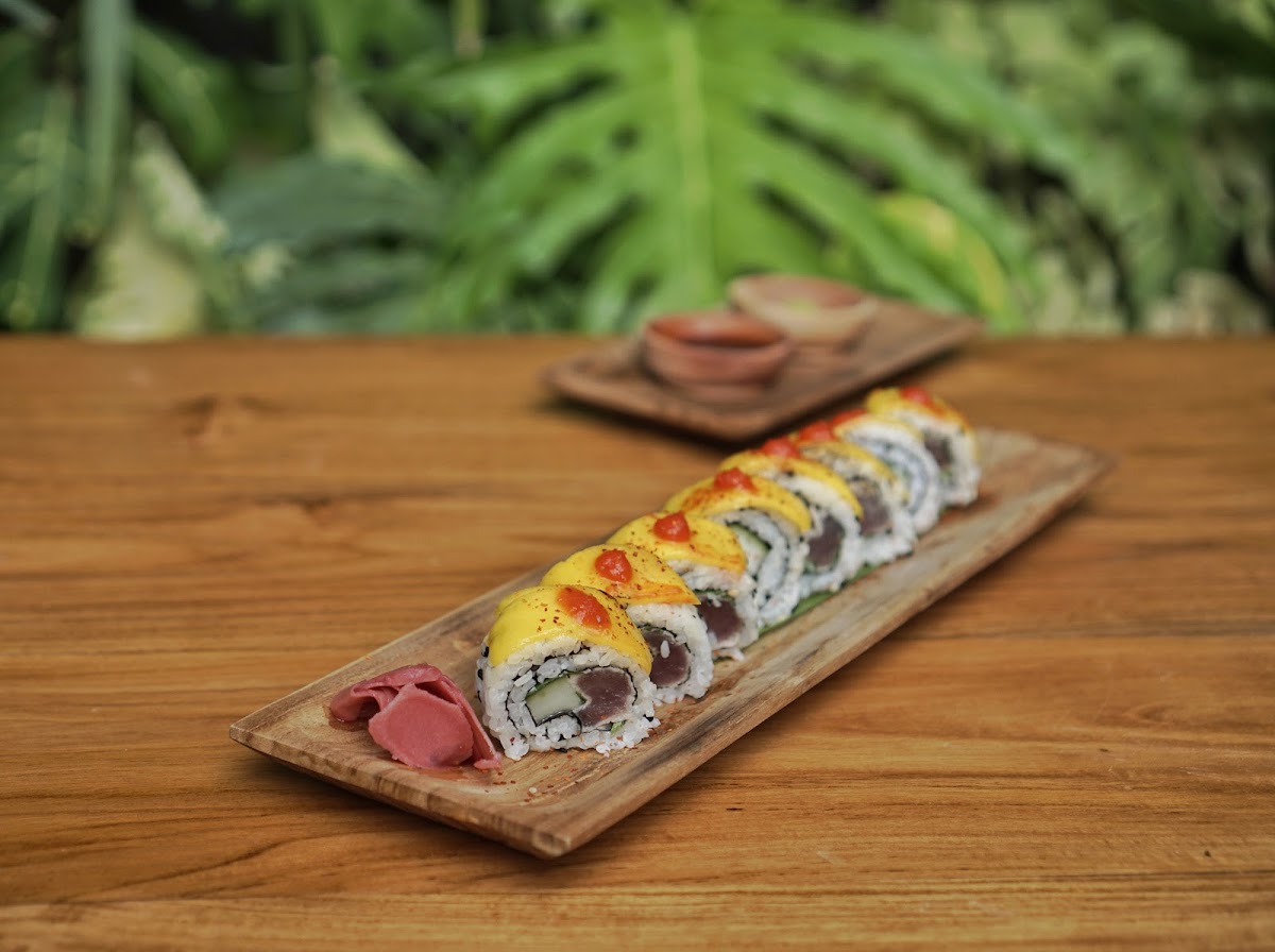 Slide Background Image