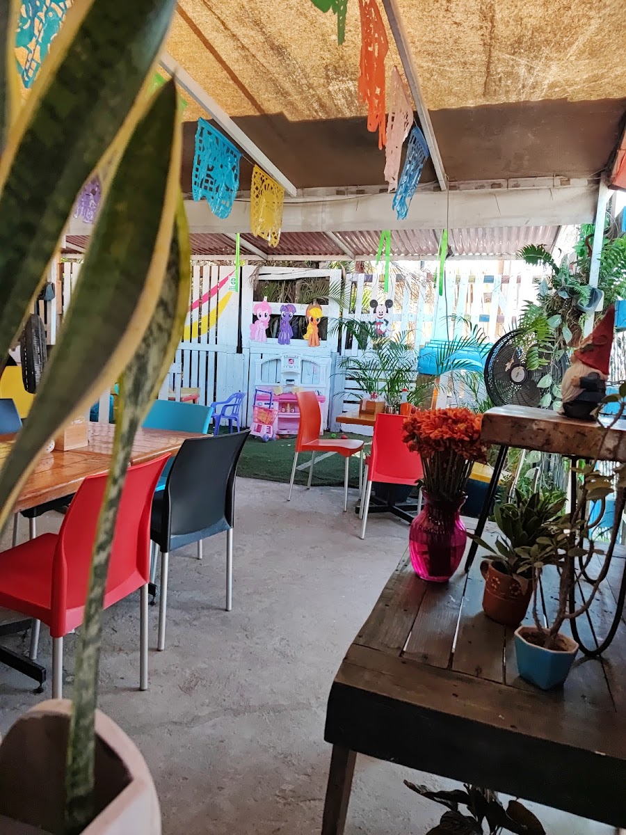 Slide Background Image