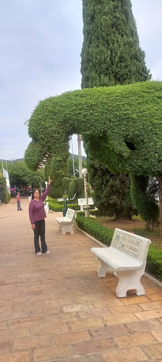 Slide Background Image