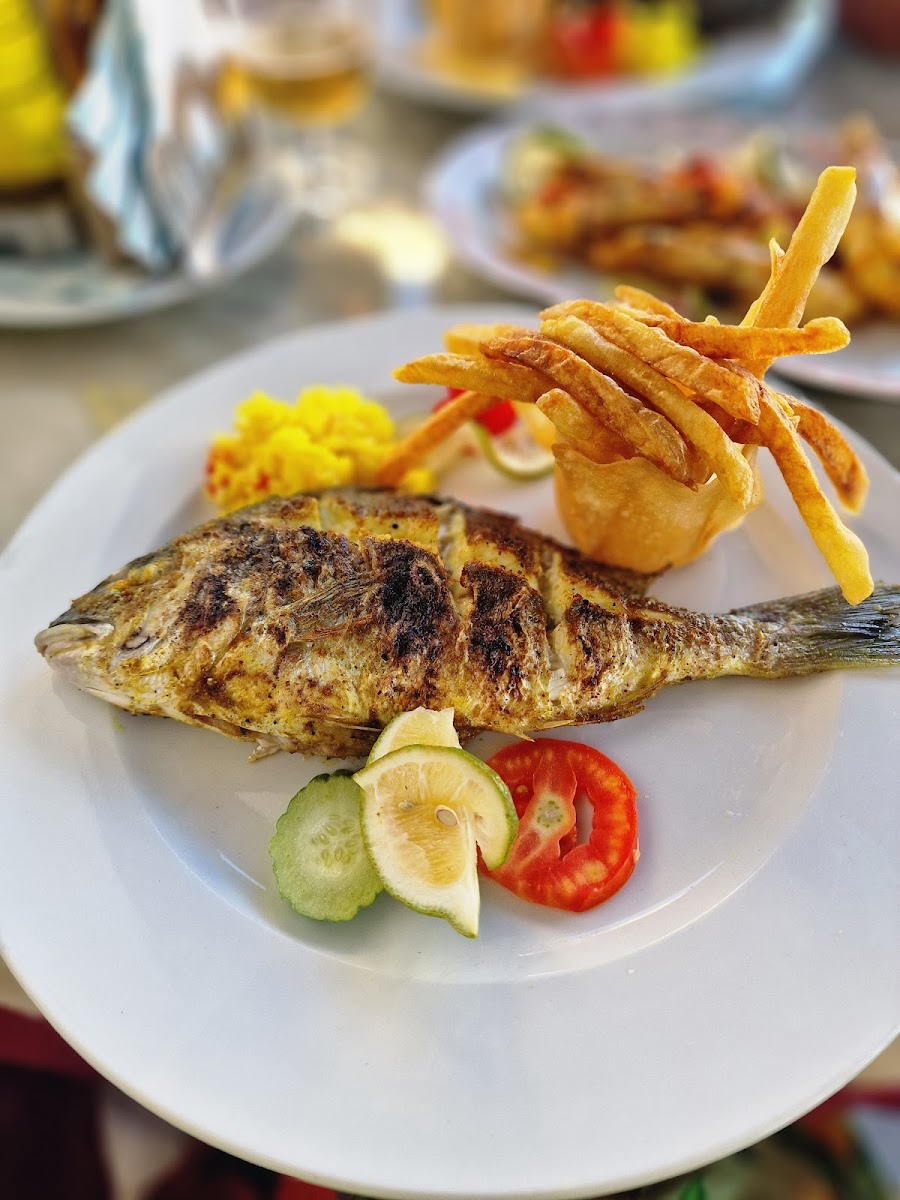 Slide Background Image