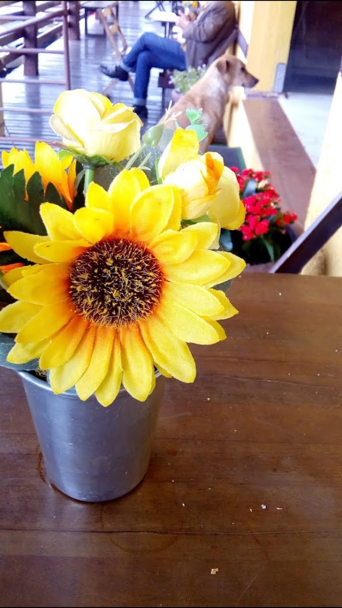 Slide Background Image