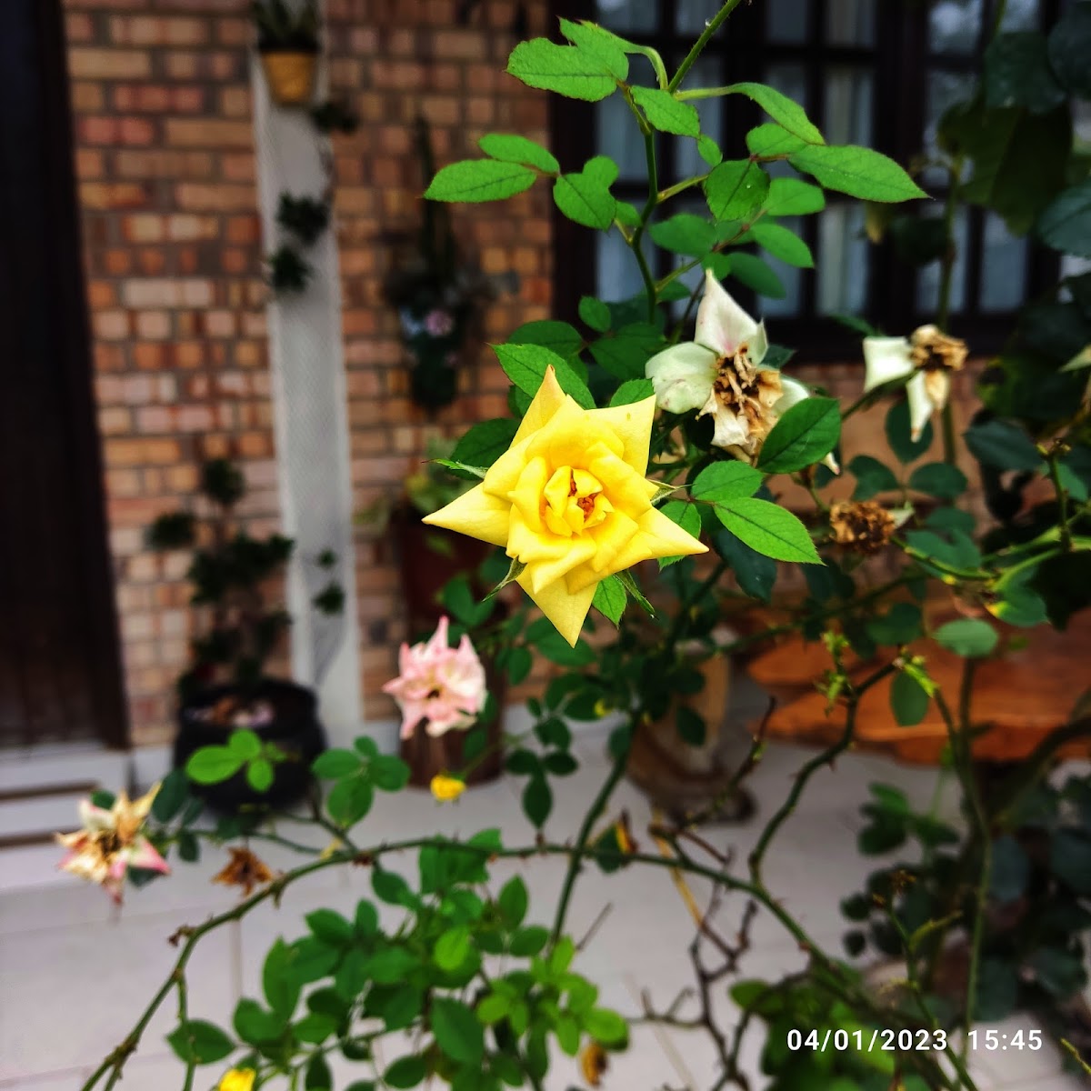 Slide Background Image