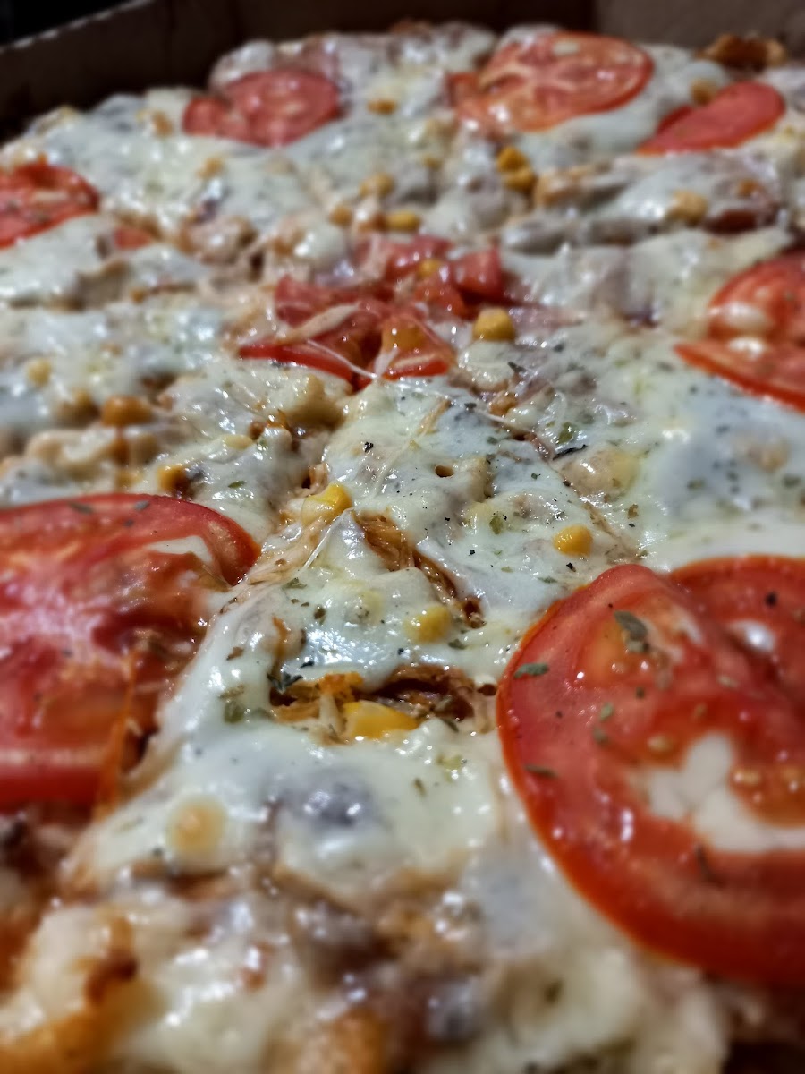 Slide Background Image