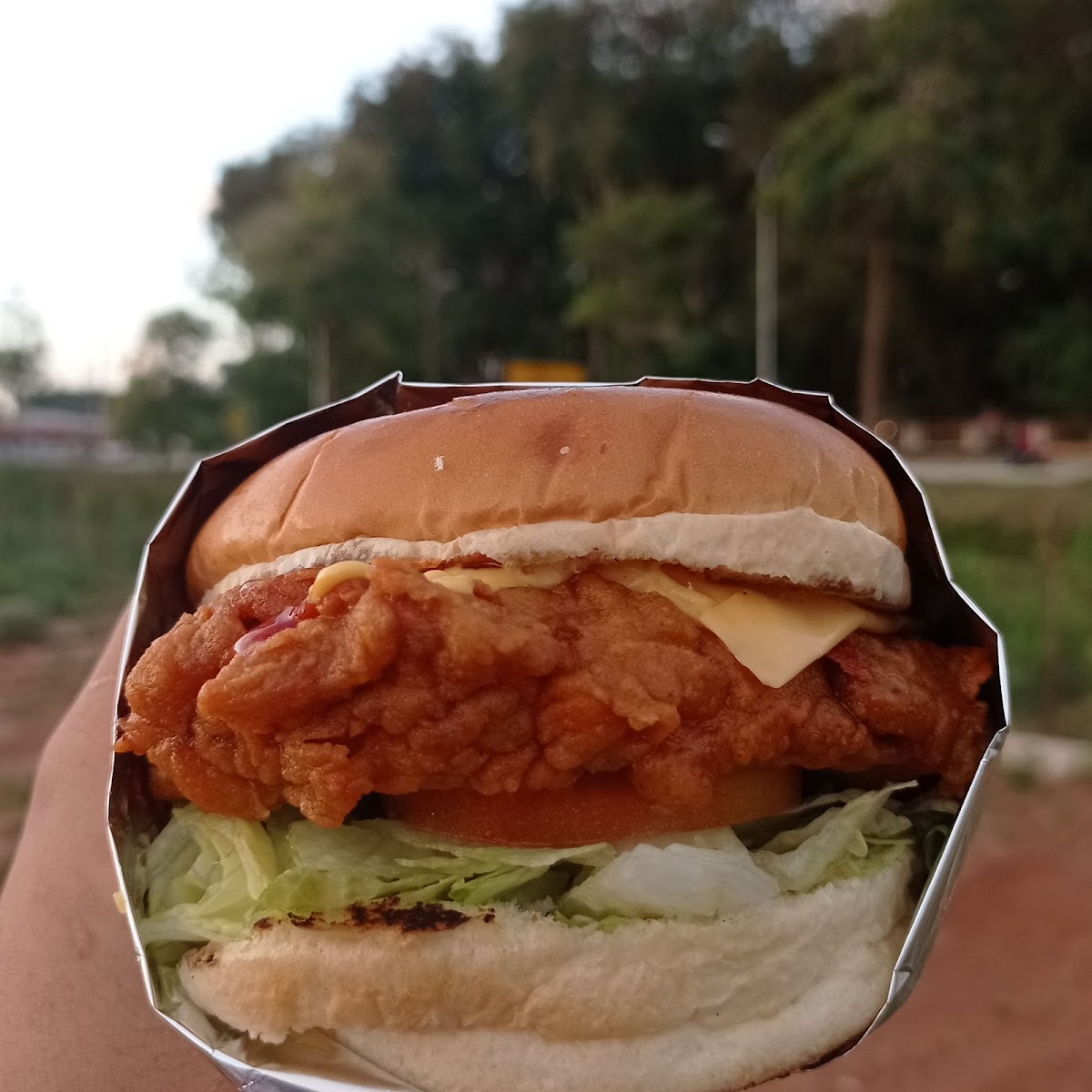 Slide Background Image