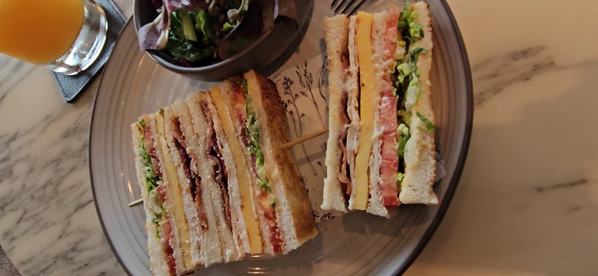 Slide Background Image