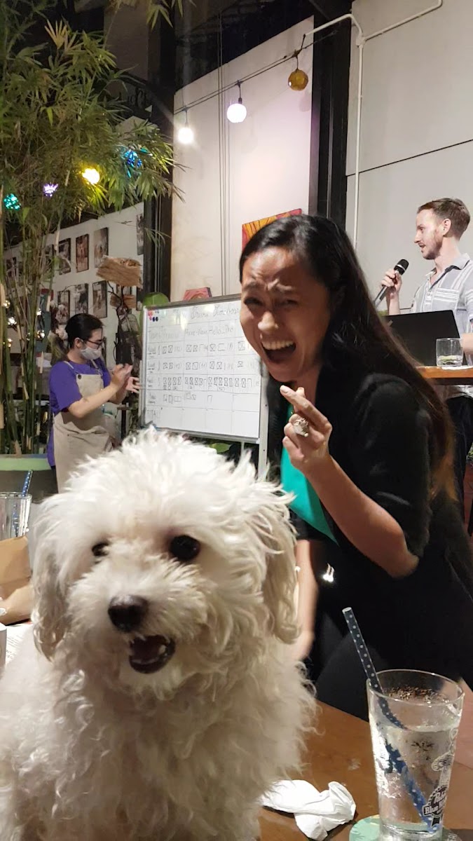 Slide Background Image